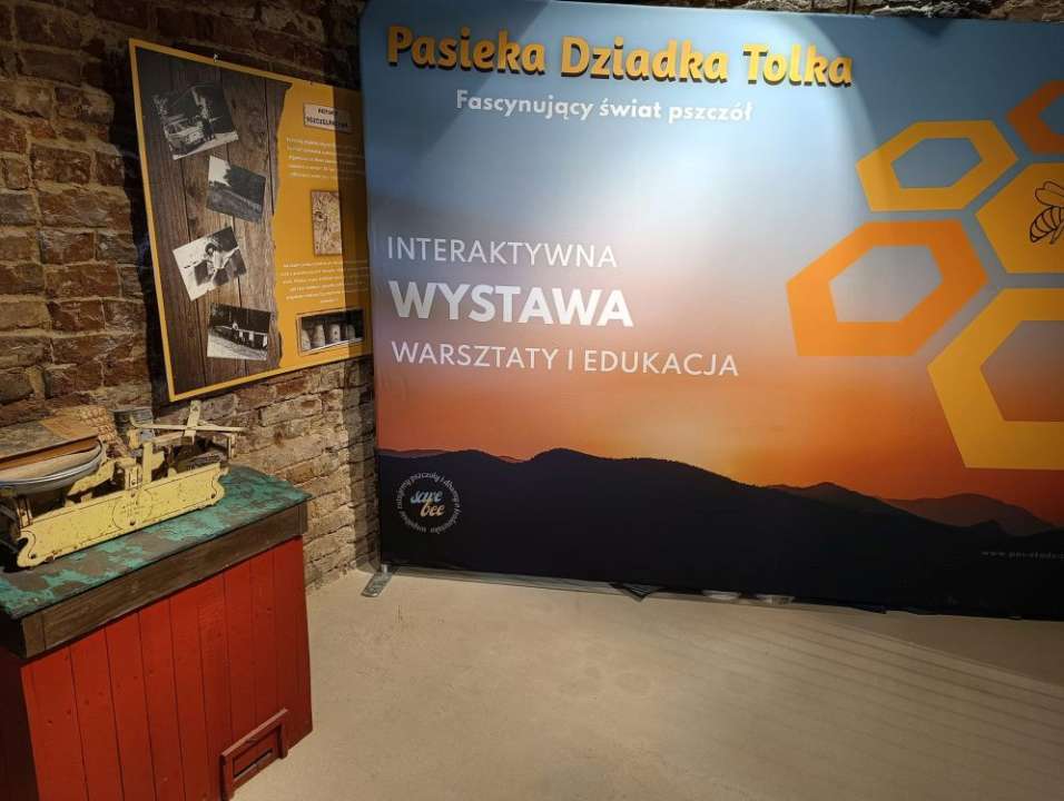 wystawa interaktywna fascynujący świat pszczół