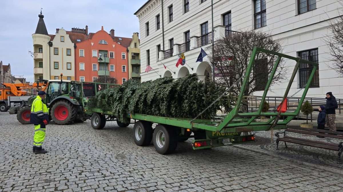 Świąteczna choinka przyjechała na głogowski rynek