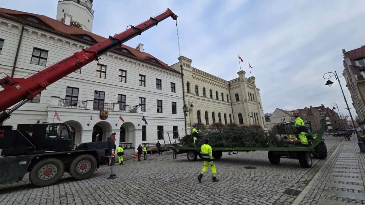Świąteczna choinka przyjechała na głogowski rynek