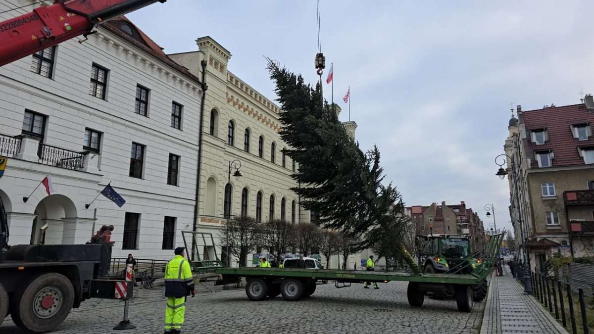 Świąteczna choinka przyjechała na głogowski rynek