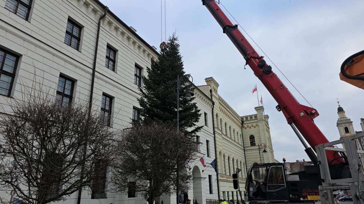 Świąteczna choinka przyjechała na głogowski rynek