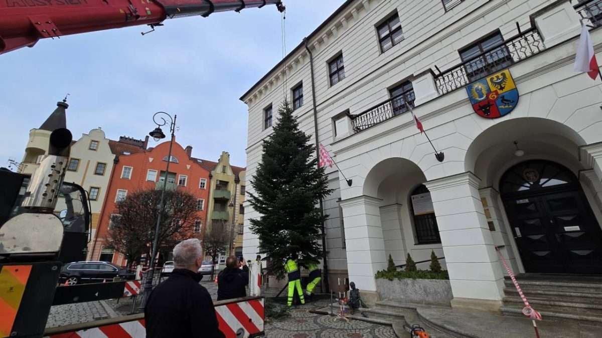 Świąteczna choinka przyjechała na głogowski rynek