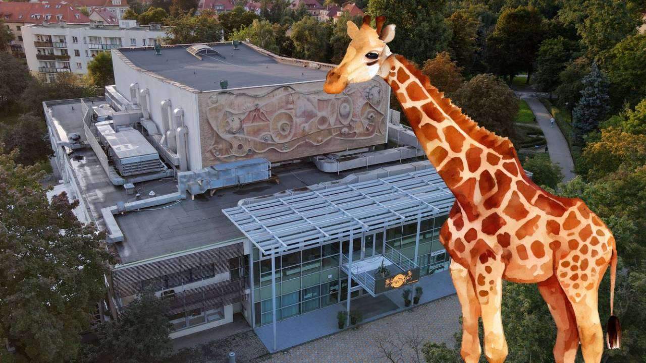 Drużynowa gra terenowa!