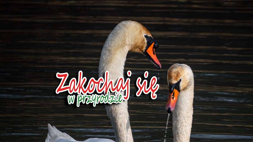Kolejny plener fotograficzny „Zakochaj się w Przyrodzie”