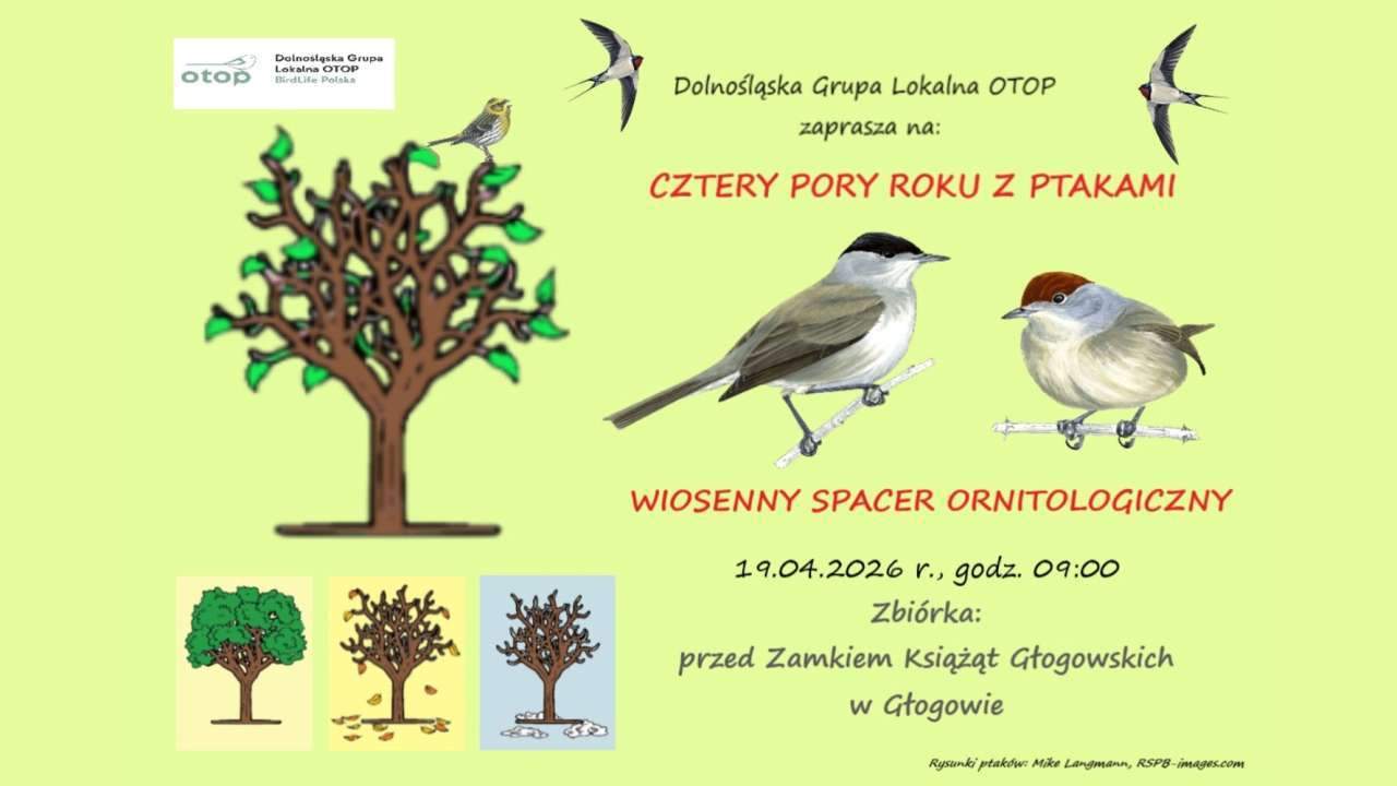 Cztery pory roku z ptakami