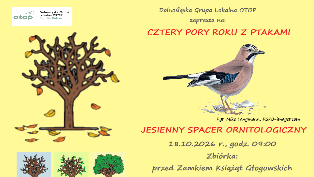 Znów wyruszą na spacer w poszukiwaniu ptaków